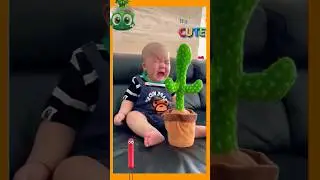 Cute Mexica Plush Dancing 😱 Challenge Cactus Electric Plush Toy ?