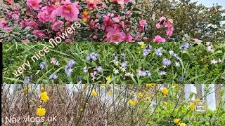 #Naz vlogs uk #Spring time flowers 💐