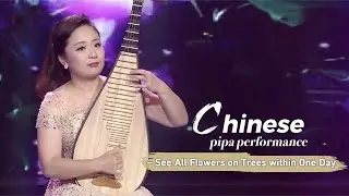 Music: Chinese pipa performance &ndash; See All Flowers on Trees within One Day【一日看尽长安花】