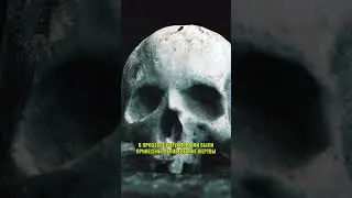 Банды мира МС 13#short