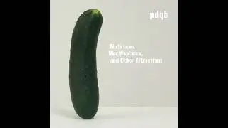 Elias The Artist aka DJ Gregory Presents DMutations, Modifications, And Other Alterations By pdqb