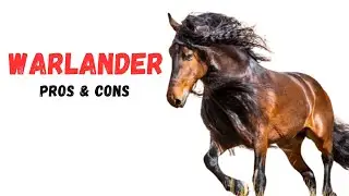 Warlander Horse Pros and Cons -Warlander Horse Advantages and Disadvantages