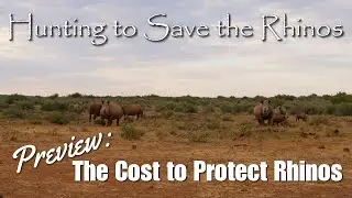 Hunting to Save the Rhinos Preview: The Cost to Protect Rhinos