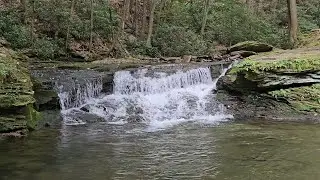 Wykoff Run Falls: Roadside Excursion in the Pennsylvania Wilds