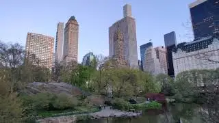 The Pond at Central Park | New York