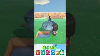 マンボウを小さい穴に逃がすと&hellip;【あつ森】【あつまれ どうぶつの森】【細かすぎる小ネタ】