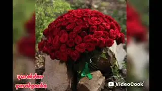 Kelini tomonidan Qaynonasiga chiroyli tabrik
