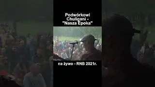 😜Podw&oacute;rkowi Chuligani - 