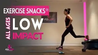 60m Full Body Workout | for Strength, Bones, Cardio, Joints, Stretch | All ages | Chair options 