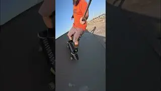 SURFSKATE #1174