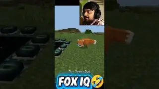 Fox IQ Minecraft | #minecraft  #gaming #funny #fun #comedy #iqtest #iq