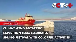 China's 42nd Antarctic Expedition Team Celebrates Spring Festival with Colorful Activities
