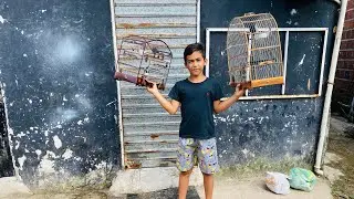 Como &eacute; o manejo com meus azul&atilde;o