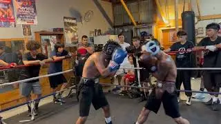 Wk21 powerhouse boxing club Ruben sparring Jordan at Selma 