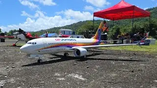 Air Jamaica 737 Ken Jones Aerodrome Jamaica