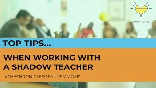 Top Tips - When working with a Shadow Teacher