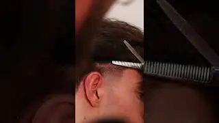 TAILORED SHORT CUT