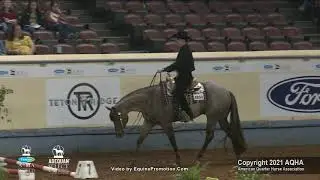 2021 AQHA Senior Trail