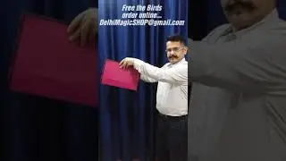 Free all Magic birds from Cage