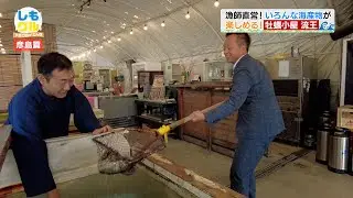下関グルメさんぽ しもグル[2024年11月放送]