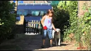 ★ Smartest Dogs in London ★