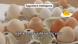 10 Foods That Make You Smarter #healthyfood #superfood #smart #brainfood #superbrain #psychology
