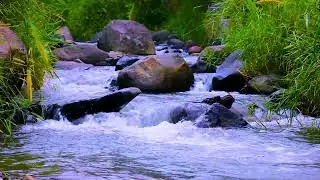 Gentle mountain stream sounds shaping peaceful water ambience for night rest