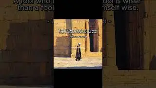 Persian Secret to True Intelligence | The Wisest Fool You'll Ever Meet #viralshort #vita