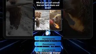 What Do You Call Animals That Eat Both Plants and Meat? | GK Facts #shorts #theknowledgemaster1m