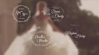 50 Wedding Titles  Essential Graphics  Mogrt