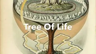 Norse Tree Of Life / Hidden Lands At North Pole