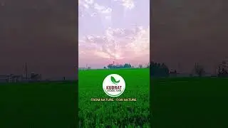 👌Best vermicompost unit in punjab💐 #shortvideo #shorts #vermicompost #earthworm #nature #organic