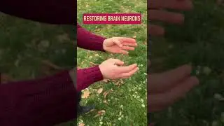 BRAIN TRAINING