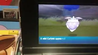 Random Shiny Midnight Lycanroc in Moon