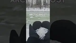 Arctic Frost #constancecreationsxyz