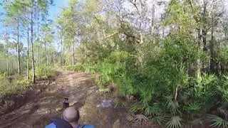 Cypress Creek Wildlife Preserve/ Shot on the Akaso 360 P3