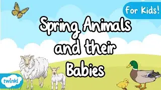 Spring Animals and their Babies | Spring Animal Facts | EYFS