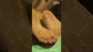 Client Review | Au Revoir Wellness Resort | Malampuzha | Palakkad | Kerala | Health Resort |