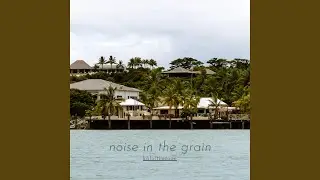 Grain