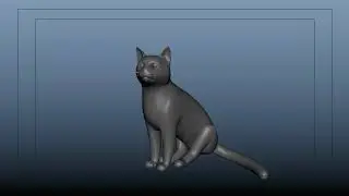 Cat Run cycle and Idle Animations