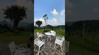Nature Travel Transition with Leaves | Relaxing Scenic Short #short #scenery #views