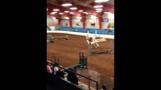 Counting Stars First Small Pony Hunter
