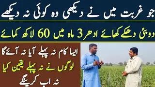 G1 Garlic Rate 2023| G1 Garlic in Pakistan| Asad Abbas Chisti
