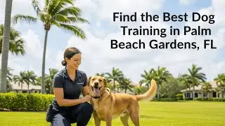 Find the Best Dog Training in Palm Beach Gardens Florida