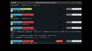 Git shortlog and restore with checkout | Urdu