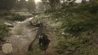 RDR2 Horse Physics are Interesting
