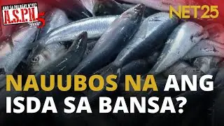 45-M kilo ng isda, nawawala sa Pilipinas kada taon.  | ASPN