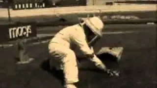 Sothern California Bee Control Service | All Valley Honey and Bee