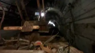 Околоствольный  двор