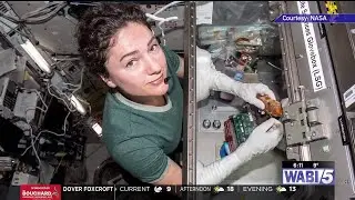 Jessica Meir to serve as commander of Space-X crew set to launch next year